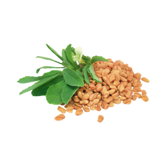 Inositol, Chromium & Fenugreek