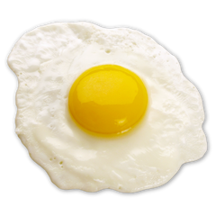 Bioavailable Protein